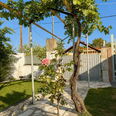 Coastal Retreat In With Private Entrance * Erétria